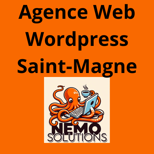 infographie-nemosolutions-agence-web-wordpress-saint-magne